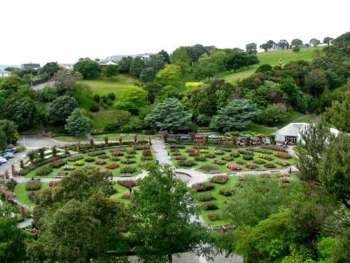 the-norwood-lady-rose-garden