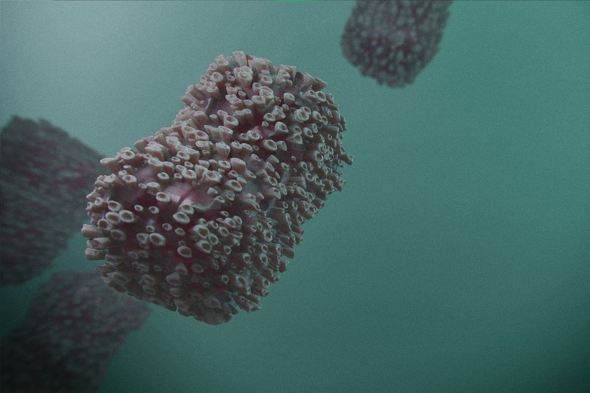 third-monkeypox-case-reported-in-chch-20220802