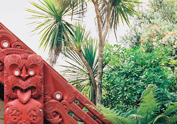 新西兰首次：地区议会决定撤销毛利选区