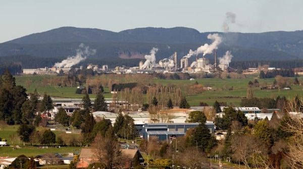 新西兰又有工厂要关门，危及230个岗位