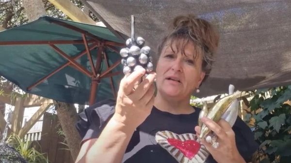 惠灵顿民宿业主遭暴击