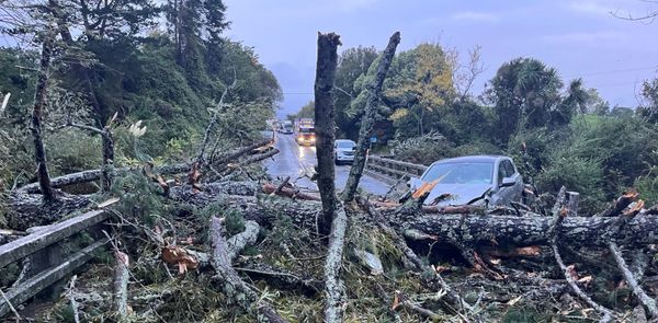 强风袭击新西兰北岛，多地受灾