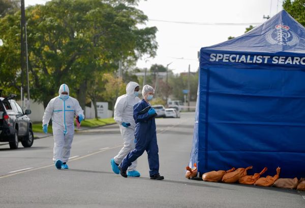 奥克兰留学生被刺案更多细节透露