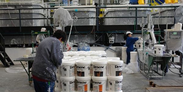 新西兰知名企业“工资太低”，“不加班活不下去”