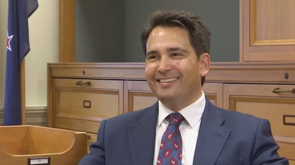 新西兰商界大佬支持对华过境免签