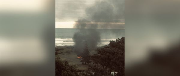 奥克兰热门海滩突发命案