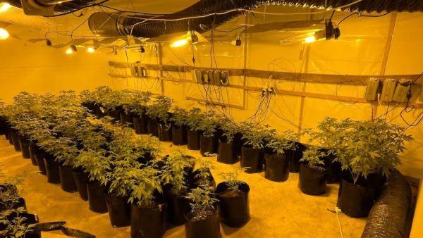 这些企业出了200个工签，却在新西兰从事非法勾当