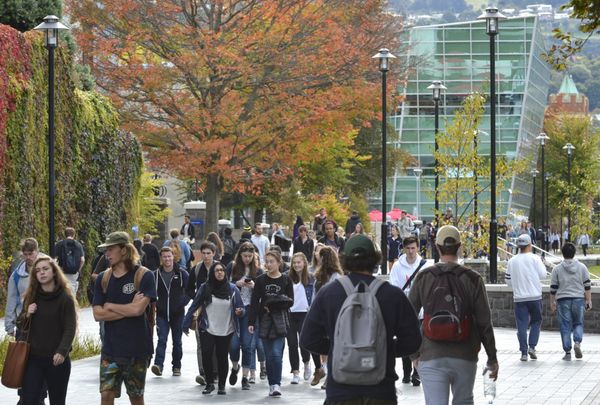 新西兰官宣留学生打工时间延长
