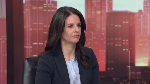 新西兰BIV签证“为这类人量身定制”