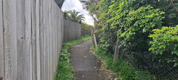 新西兰华人助教被抢后，“三周不敢独自回家”