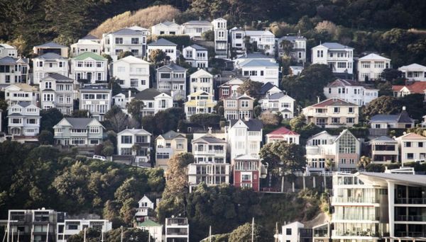 惠灵顿房价下跌幅度达30%