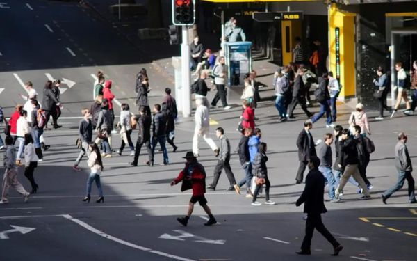 新西兰多个行业年薪中位数突破10万