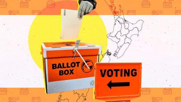 新西兰多地毛利选区遭废除，选民右转