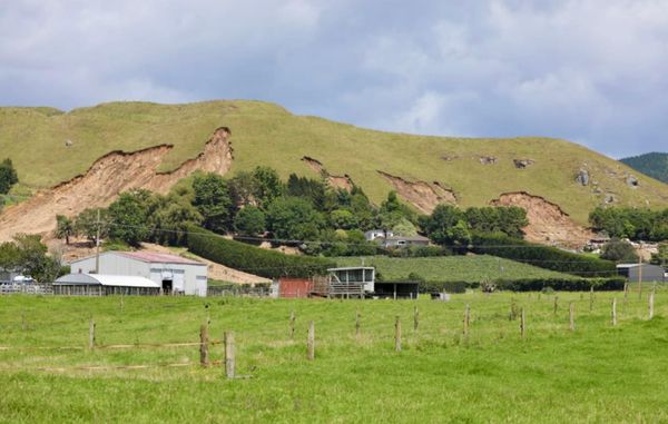新西兰滑坡中遇难中国公民为新移民家属
