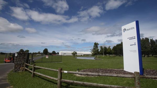 新西兰华人企业争议再起，一本万利！“新西兰亏大了”