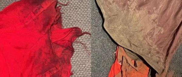 基督城礼服租赁店称脏污和损坏归还情况增多