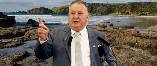 新西兰将限制奥克兰及科罗曼德尔潮间带采集海洋生物