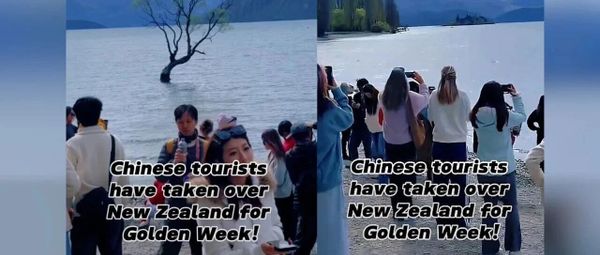 中国游客赴新西兰人数回升，地接从业者面临AI行程与价格竞争