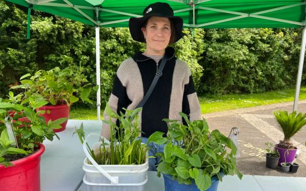 注意！这两种华人美食系有害物种，议会呼吁华人帮忙控制