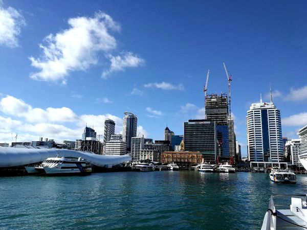 auckland-anniversary-day