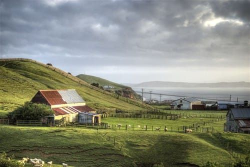 chatham-islands