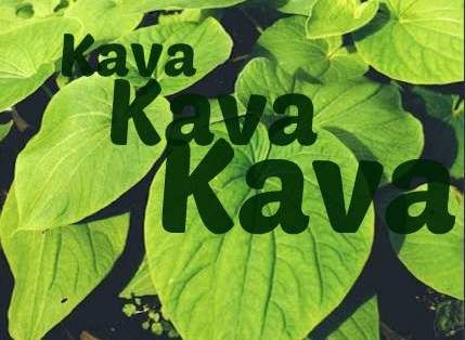 fiji-kava-kava