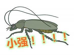 home-n-garden-cockroach