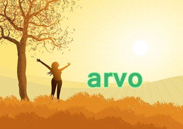 kiwi-slang-arvo