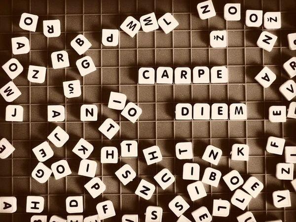 latin-phrases-you-could-see-everyday