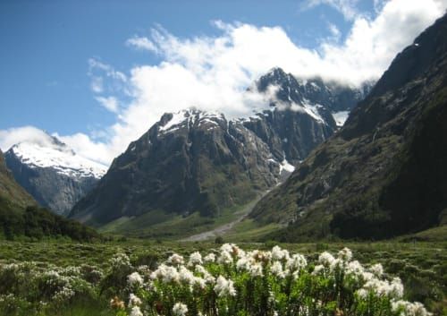 new-zealand-national-parks