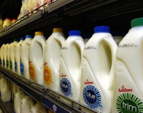 nz-fresh-milk