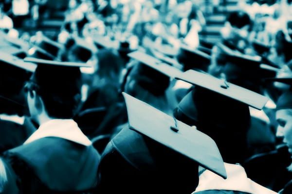 planned-consultation-on-international-student-post-study-work-rights