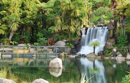 rotorua-rainbow-springs