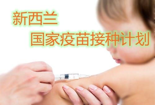 the-national-immunisation-schedule