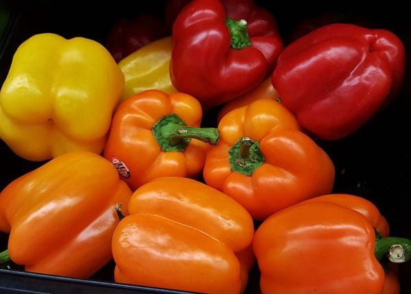 vege-capsicum