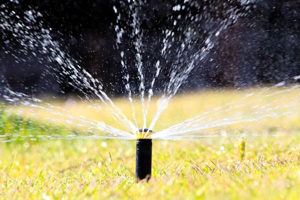 watering-lawn-in-morning-n-evening