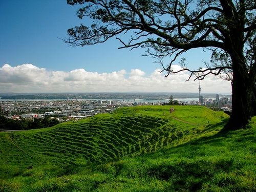 auckland-mteden