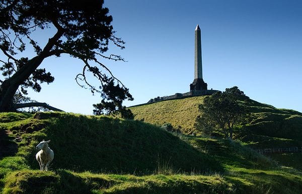 auckland-onetreehill