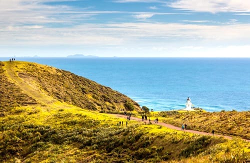 cape-reinga-sunrise