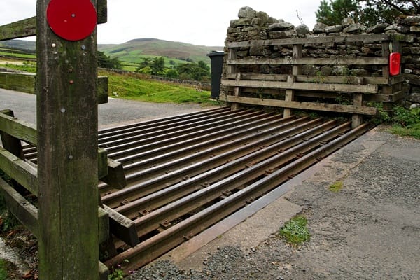 cattle-grid