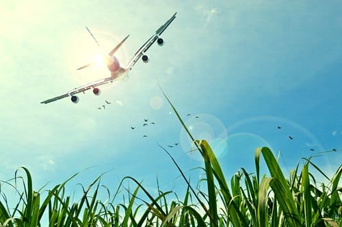 direct-or-multi-city-flight