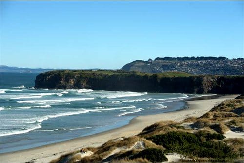 dunedin-beach