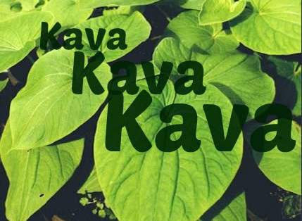 fiji-kava-kava