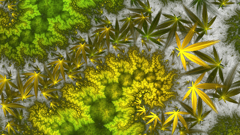 john-key-says-no-on-cannabis-referendum-20201008