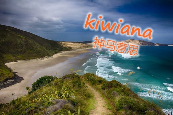 kiwiana