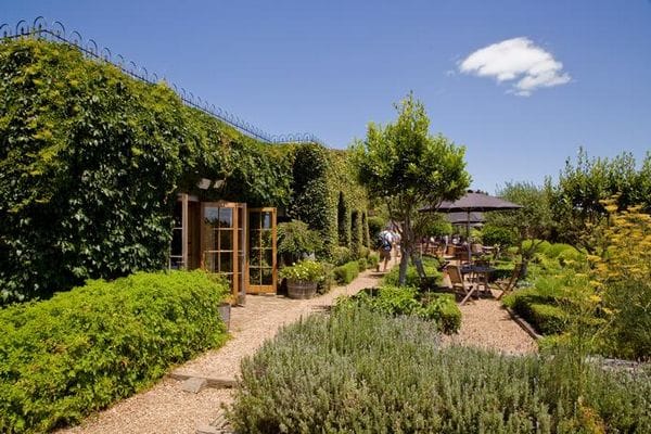 mudbrick-vineyard-restaurant