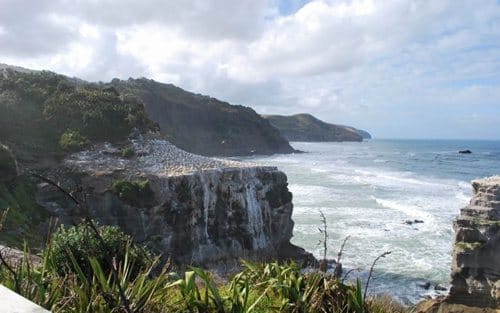 muriwai-beach2