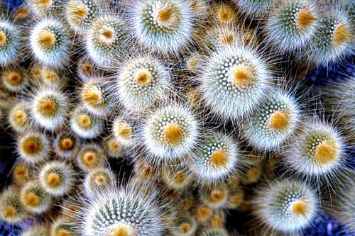 national-caucus-united-in-support-of-bill-english-20180210