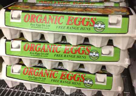 organic-eggs