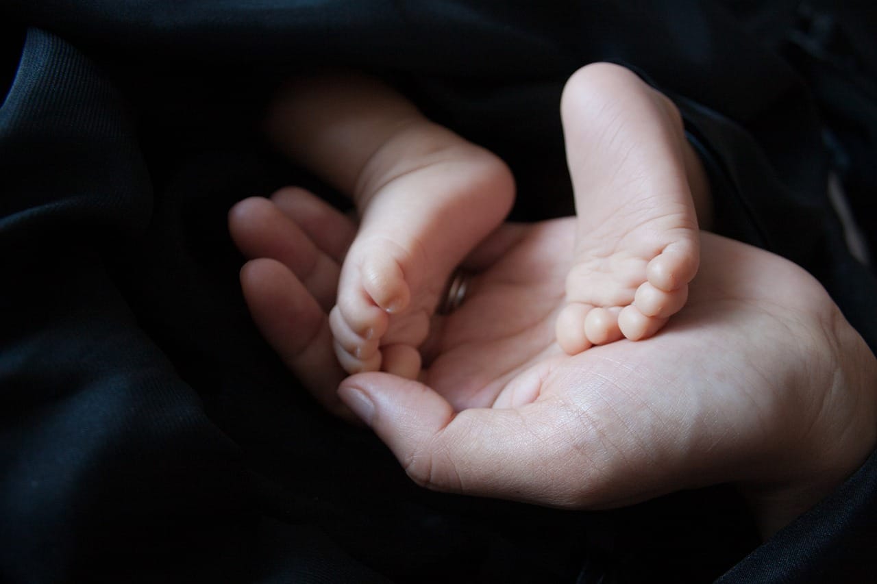 paid-parental-leave-2023-2024